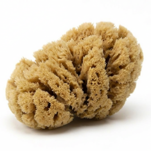 Naturalna gąbka morska Silk 16-18 cm